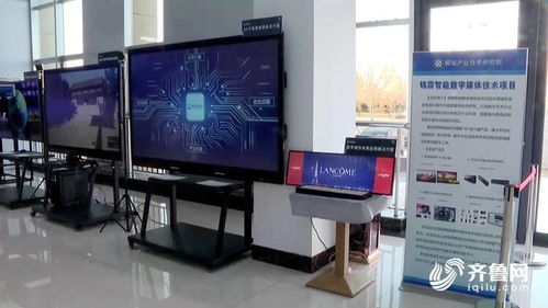 凝聚智慧力量，驅(qū)動(dòng)技術(shù)開發(fā)新篇章——聊城產(chǎn)研院聘任12位專家組建創(chuàng)新發(fā)展咨詢委員會(huì)